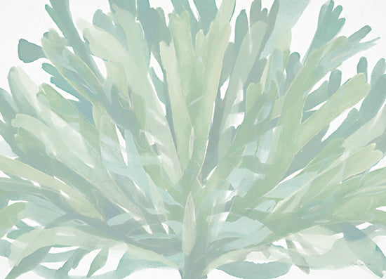 Stellar Design Studio SDS1508 - SDS1508 - Soothing Seagrass 1 - 16x12 Tropical, Seagrass, Green, White from Penny Lane