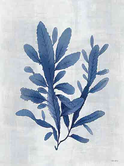 Amber Sterling AS135 - AS135 - Sea Algae I - 12x16 blue botanical illustration, watercolor leaves, minimalist foliage, nature inspired art, delicate texture, leaf study, soft background from Penny Lane