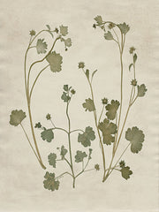 AS382 - Botanical Leaves 1 - 12x16