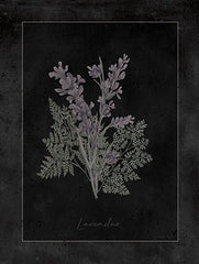 CIN4361 - Lavendar Botanical on Black - 12x16