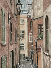 CIN4393 - A Glimpse of Old Stockholm - 12x16