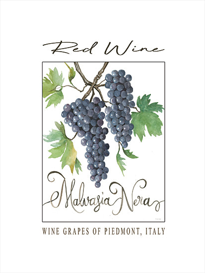 Cindy Jacobs CIN4461 - CIN4461 - Red Wine - 12x16 Malvasia Nera, red wine grapes, Piedmont Italy, watercolor illustration, grapevine art, botanical artwork, Italian wine region, viticulture, vineyard art from Penny Lane