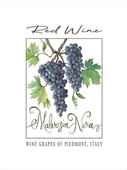 CIN4461 - Red Wine - 12x16