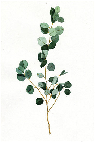 Dogwood Portfolio DOG320 - DOG320 - Branch with Leaves - 12x18 eucalyptus watercolor, detailed botanical illustration, fresh green leaves, farmhouse style decor from Penny Lane