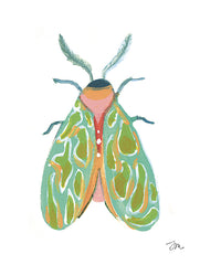JM601 - Fancy Moth I - 12x16