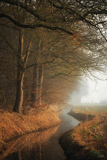 Martin Podt MPP1022 - MPP1022 - Bend in the Stream - 12x18 misty forest stream, tranquil nature scene, morning fog landscape, serene woodland reflection, autumn scenery from Penny Lane
