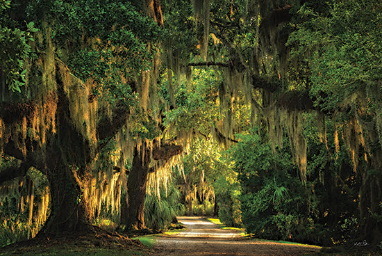 Martin Podt MPP1179 - MPP1179 - Moss Draped Path - 18x12 mystical forest, tree canopy, golden light, moss-covered trees, atmospheric landscape, old pathway, deep green hues from Penny Lane
