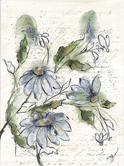 NOR317 - Daybreak Coneflower - 12x16