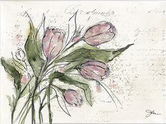 NOR318 - Daybreak Tulip - 16x12