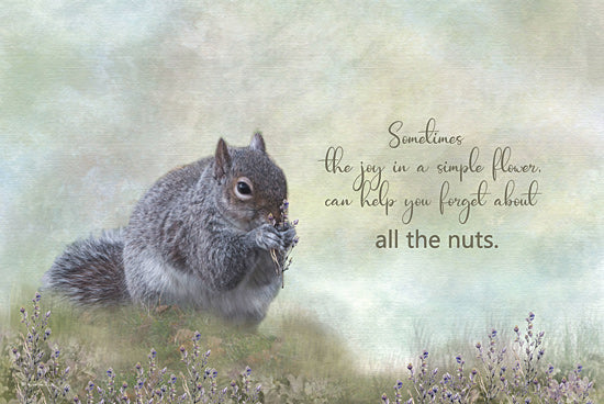 Robin-Lee Viera RLV723 - RLV723 - Forget About the Nuts - 18x12 Squirrel holding flower, humorous quote, soft pastel background, nature, woodland animal, cute from Penny Lane