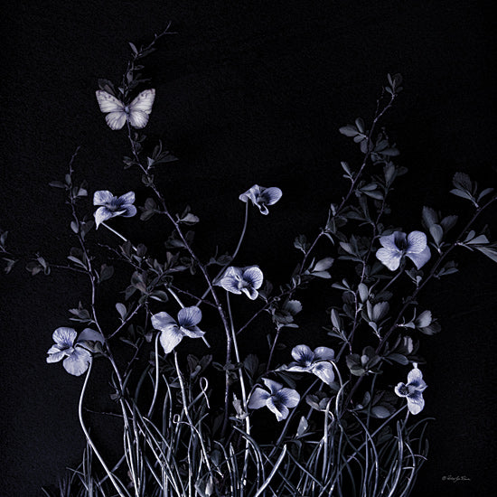Robin-Lee Viera RLV733 - RLV733 - Butterfly Garden II - 12x12 butterfly, dark flowers, surreal, modern botanical, blue floral, twilight vibe, fantasy style nature from Penny Lane