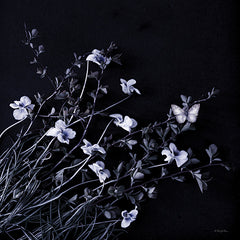 RLV734 - Butterfly Garden III - 12x12