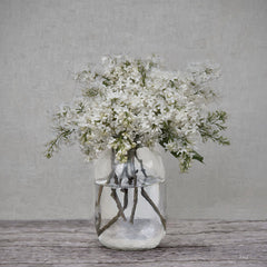 RLV749 - Lilac Simplicity II - 12x12