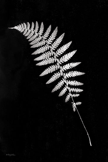 Robin-Lee Viera RLV759 - RLV759 - Simple Fern - 12x18 fern leaf, isolated on black, intricate leaf patterns, grayscale botanical, fine detail, monochrome foliage, natural symmetry, simplicity and elegance from Penny Lane