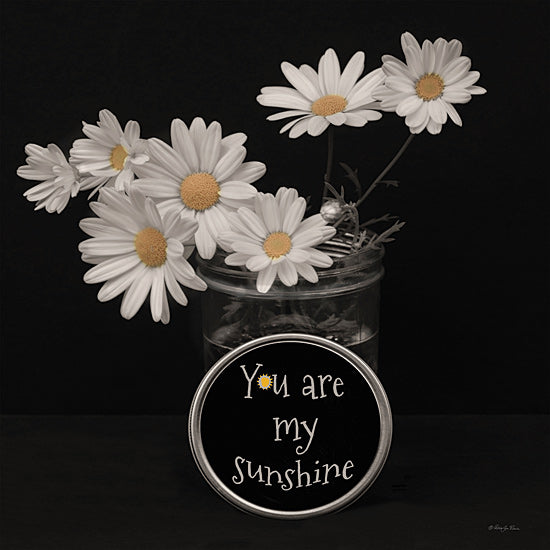 Robin-Lee Viera RLV770 - RLV770 - You are My Sunshine - 12x12 jar with daisies, inspirational quote, farmhouse style, typography with floral art, mason jar decor, cheerful white petals, positive message, dark background from Penny Lane