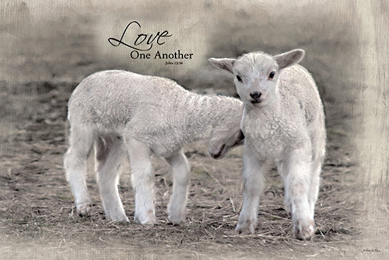 Robin-Lee Viera RLV798 - RLV798 - Love One Another - 18x12 two lambs, baby sheep, religious quote, Love One Another, John 13:34, gentle animals, scripture art, Christian message, pastoral setting from Penny Lane