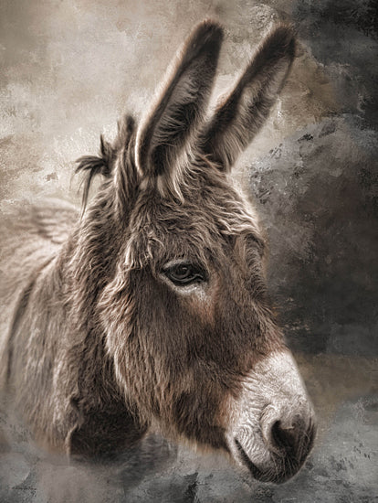 Robin-Lee Vieira RLV807 - RLV807 - All Ears - 12x16 donkey portrait, rustic texture, farm animal close-up, expressive eyes, earthy tones, country life, soft brush technique from Penny Lane