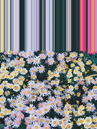 Seven Trees Design ST1189 - ST1189 - Floral Symmetry - 12x16 striped glitch, pixelated effect, daisy field, abstract overlay, colorful vertical stripes, data inspired floral design from Penny Lane