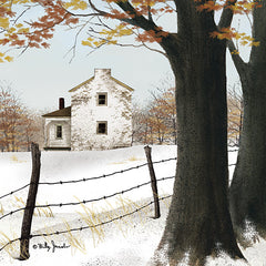 BJ1333 - November Snow - 12x12