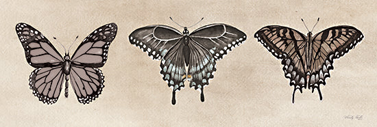 Cindy Jacobs CIN3763 - CIN3763 - Antique Butterfly Sketch I - 18x6 Butterfly, Still Life, Insects, Antique Butterfly Sketch, Nature from Penny Lane
