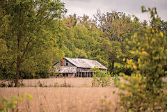 DQ267 - Barn in the Country II - 18x12