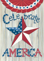 DS1673 - Celebrate America - 0