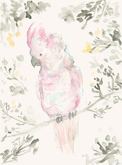 JM444 - At a French Market I - 12x16