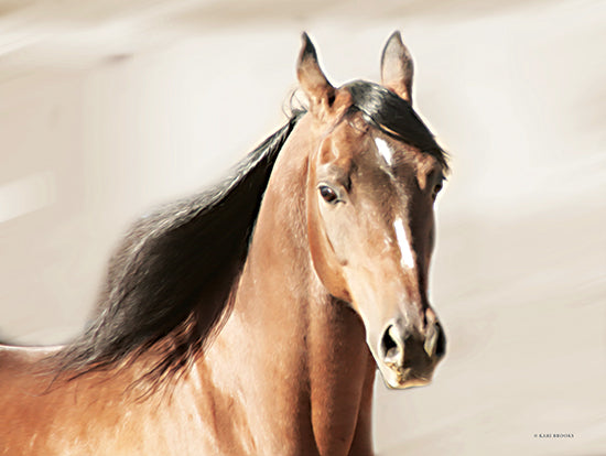 Kari Brooks KARI154 - KARI154 - Float On - 16x12 Horse, Photography, Brown Horse, Black Mane, Portrait from Penny Lane