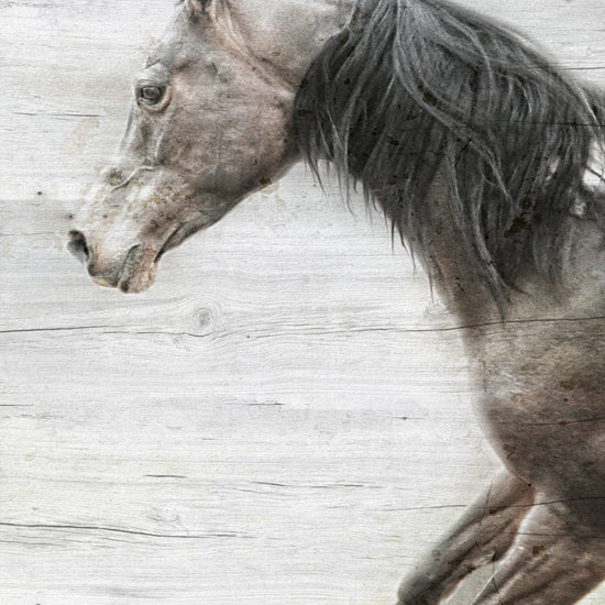 Kari Brooks  KARI173 - KARI173 - Distant          - 12x12 Horse, Galloping Horse, Brown Horse, Sideview, Wood Plank Background from Penny Lane