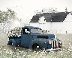 LD3137 - Beautiful Morning on the Farm II    - 16x12