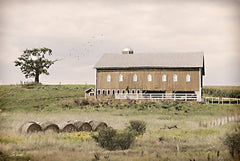 LD3302 - Yesteryear on the Farm - 18x12