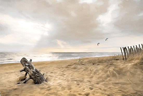 Lori Deiter LD3337 - LD3337 - Golden Coastal Sunrise   - 18x12 Coastal, Beach, Sand, Driftwood, Ocean, Photography, Seagulls, Clouds, Beach Grass, Fence, Landscape from Penny Lane