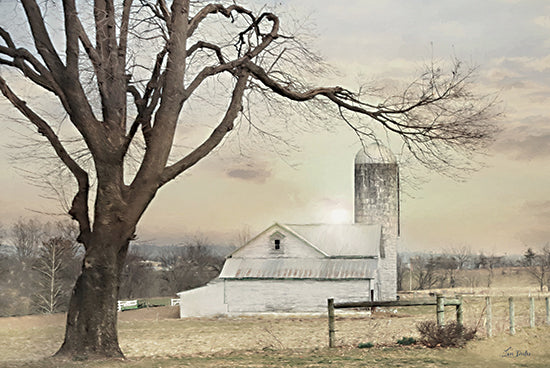 Lori Deiter LD3361 - LD3361 - Fig Hollow Farm - 18x12 Photography, Farm, Barn, White Barn, Fields, Landscape, Tree, Fence, Neutral Palette from Penny Lane