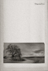 LD3368 - Thankful - 12x18