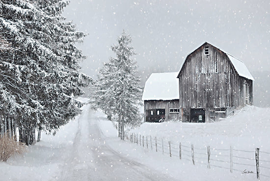 Lori Deiter LD3369 - LD3369 - Winter Peace in the Country - 18x12 Winter, Barn, Farm, Gray Barn, Road, Paths, Photography, Trees, Pine Trees,  Snow, Landscape, Fence from Penny Lane