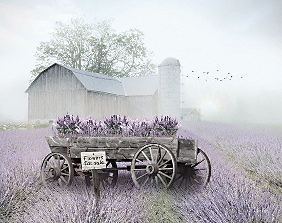 Lori Deiter LD3401 - LD3401 - Lavender Wagon - 16x12 Photography, Lavender, Lavender Field, Farm, Barn, Wagon, Landscape, Flowers for Sale, Sign, Typography, Fog, Spring from Penny Lane