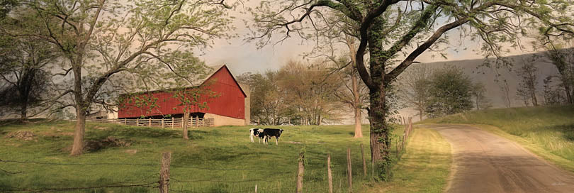 Lori Deiter LD726A - LD726A - Country Sunrise   - 36x12 Barn, Farm, Trees, Road, Cows, Landscape, Photography from Penny Lane