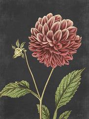 LET476 - Dahlia - 12x16