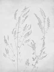 LET668 - Retreat Botanical 14 - 12x16