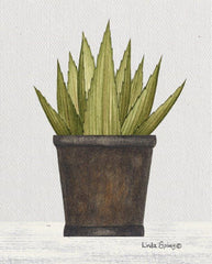 LS1860 - Potted Aloe Vera - 12x16
