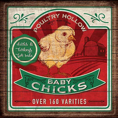 MOL1739 - Baby Chicks