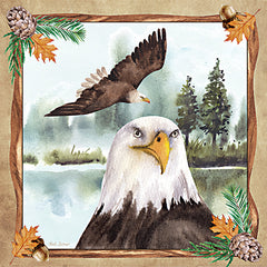 ND181LIC - The Great Bald Eagle - 0