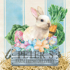 ND220 - Peter's Rabbit Delivery - 12x12