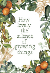 SB1108LIC - Silence of Growing Things   - 0