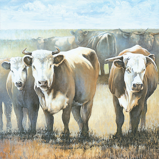 White Ladder WL223 - WL223 - Bulls in the Field   - 12x12 Bulls, Field, Farm Animals, Country from Penny Lane