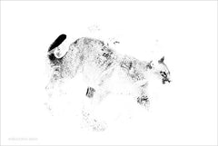 BLUE111 - Prowling Wild Minimalist Mountain Lion - 18x12