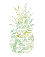 CIN1385 - Pineapple - 12x16