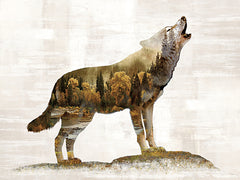 AS184 - Landscape Wolf Fusion - 16x12