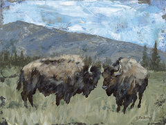 BR636 - High Country Bison - 16x12