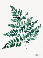 CTD148 - Fern Leaf - 12x16